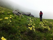 29 Siamo al bivio tra il 109 e il 101, sentiero delle Orobie Occ.